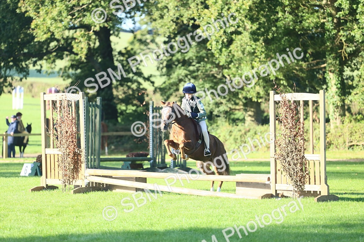SBM_33399 - S28 - Nursery Stakes Working Hunter Pony