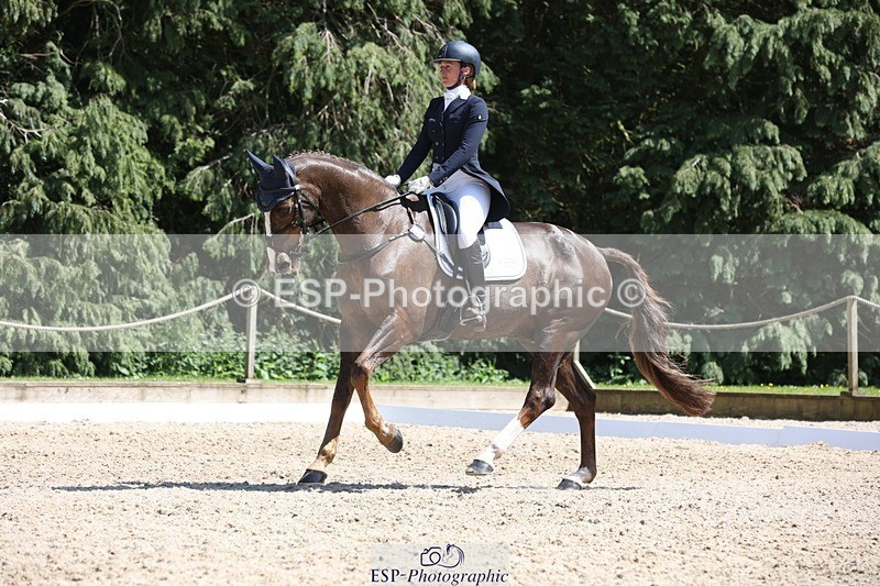 230526-145335-06572 - 376-DIRECT_BALLYTARSNA_DUCAREL-Jodie_Amos-WEDTrotUp+DR