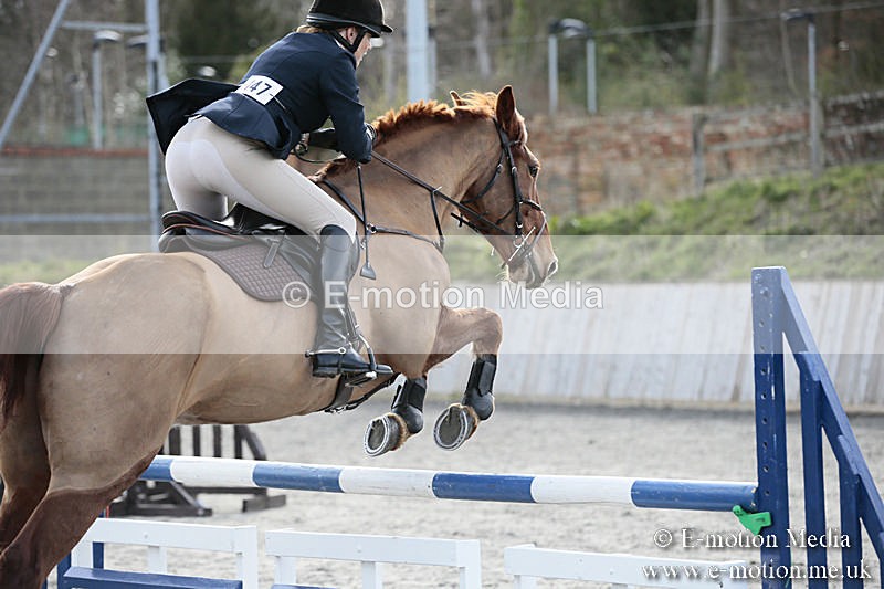 BVRC SJ 170319 753 - Bourne Valley Riding Club Showjumping 17/03/19