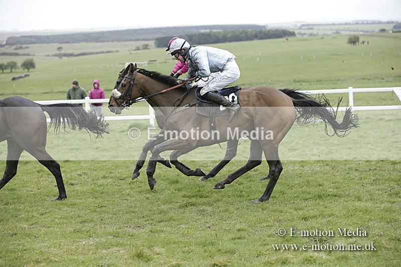 PtP 150320 0237 - New Forest Point-to-Point Larkhill 15/03/20