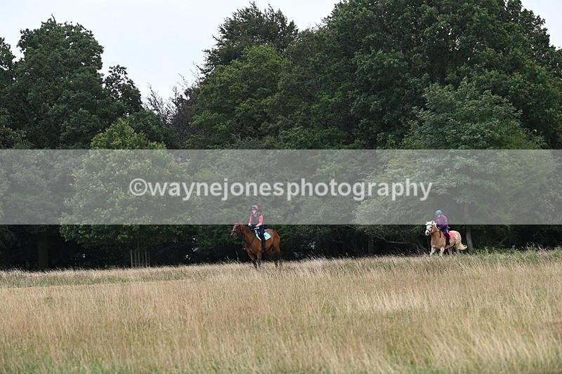 DSC_0466 - Time at Statue 09:51 to 10:54