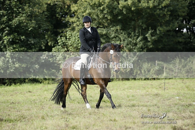 BVRC 120921 299 - Bourne Valley Riding Club UA Dressage & Show Jumping 12/09/21