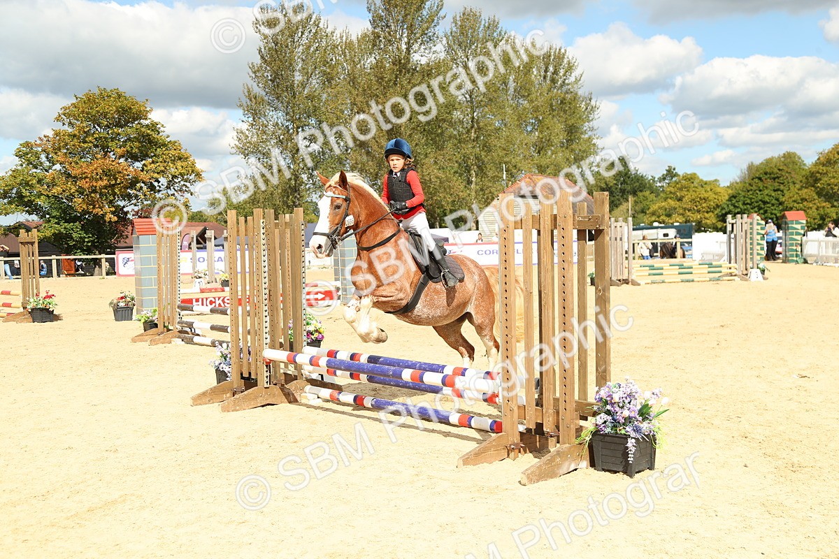 SBM_41356 - J6 - Junior Pony 55cm Championships