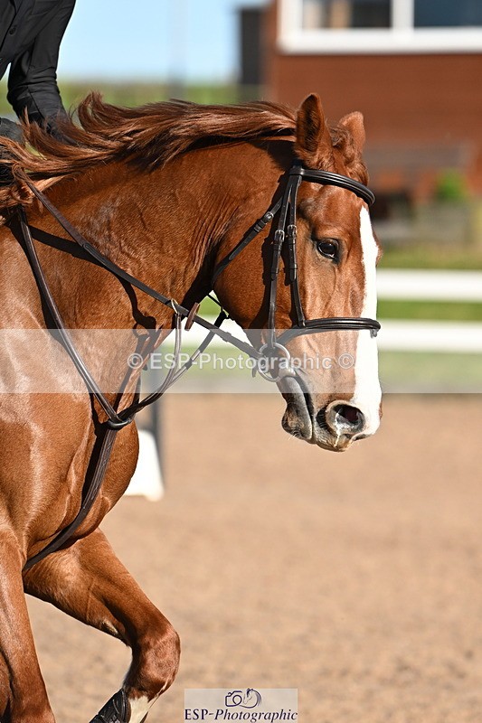 241026A-150508-01448 - SAT Cls 16-18 Children on Horses
