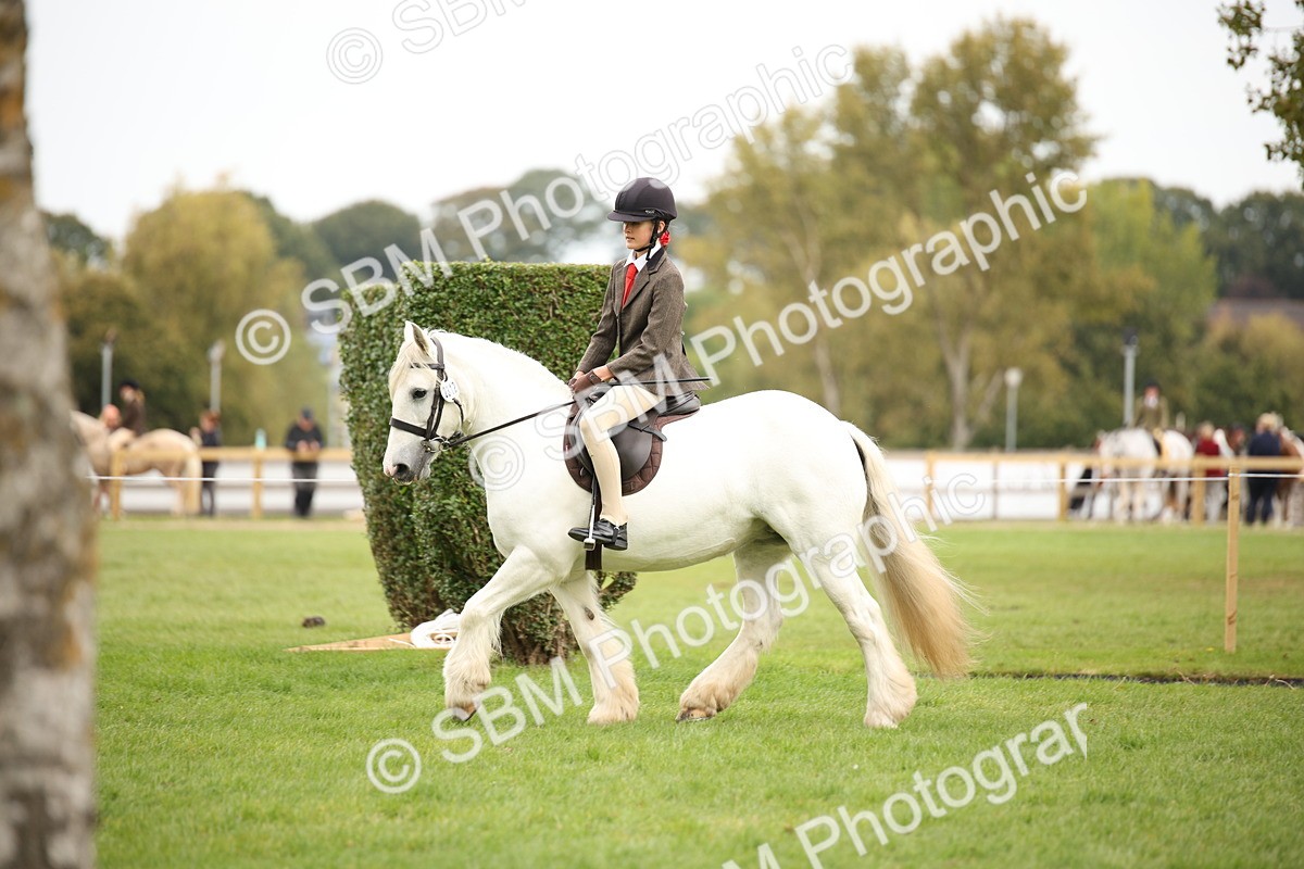SBM_73535 - S68 - Traditional Cob Ridden