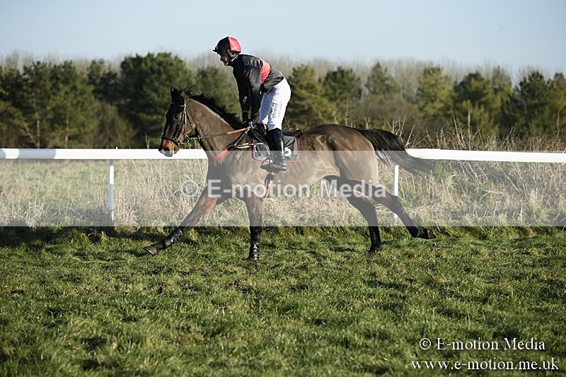 PtP 070118 -493 - Larkhill Racing Club Point to Point Larkhill 07/01/2018