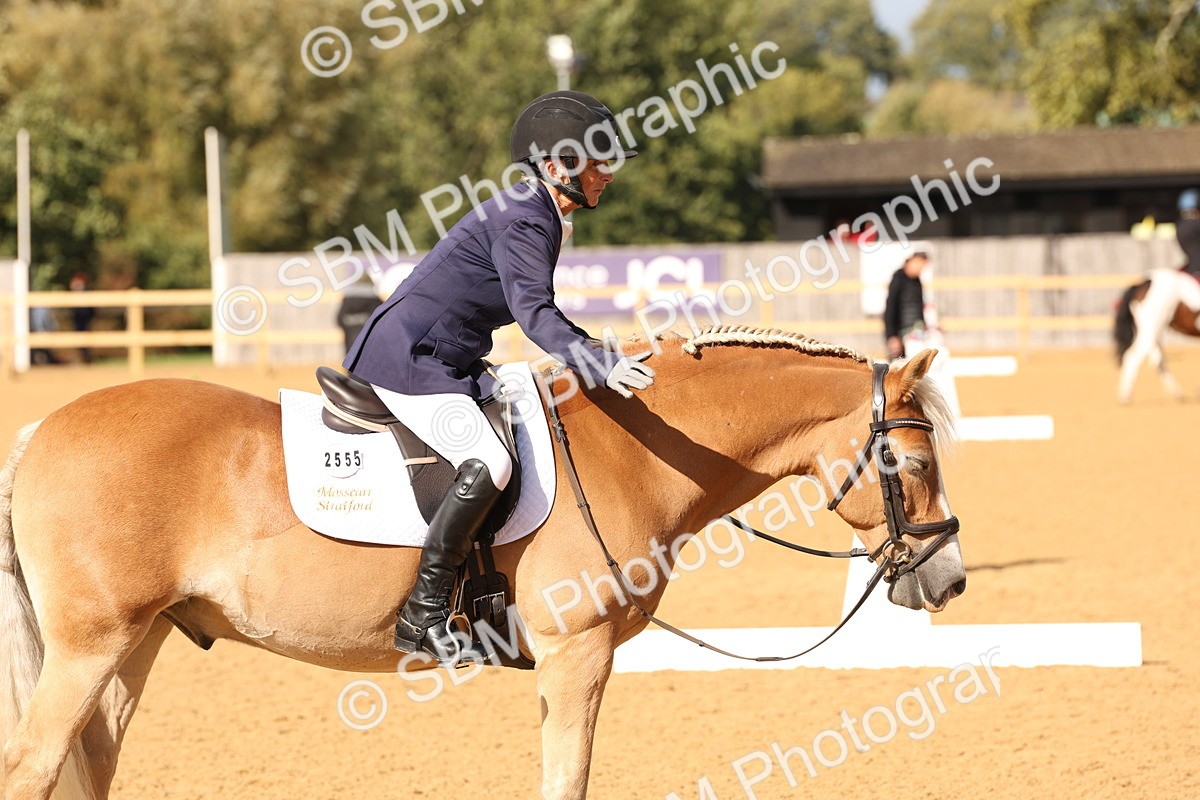 SBM_24634 - D17 - Grand Tour Championship Novice 3