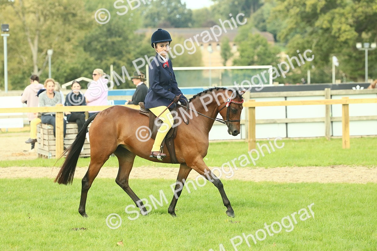 SBM_68085 - S57 - Part Bred Pony Ridden