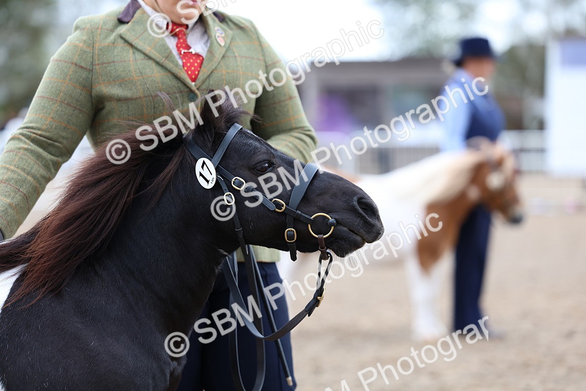 SBM_00311 - Class 15 - IH Coloured