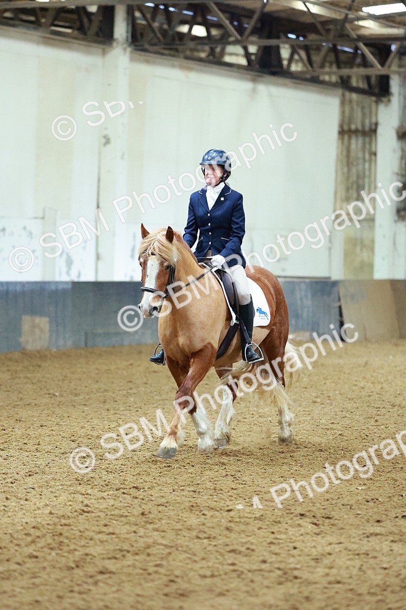SBM_003625 - Novice 2