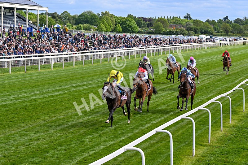 150526-Race 5-Rahiebb-0287 - Race 5 4.05pm Boodles Yorkshire Cup Stakes