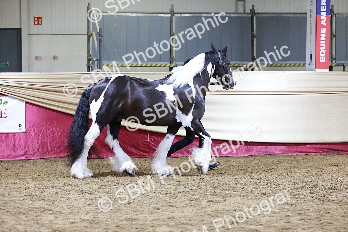 SBM_20819 - Class L - Coloured Champ