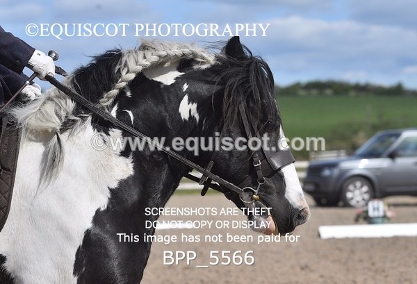BPP_5566 - 4 L DENHOLM