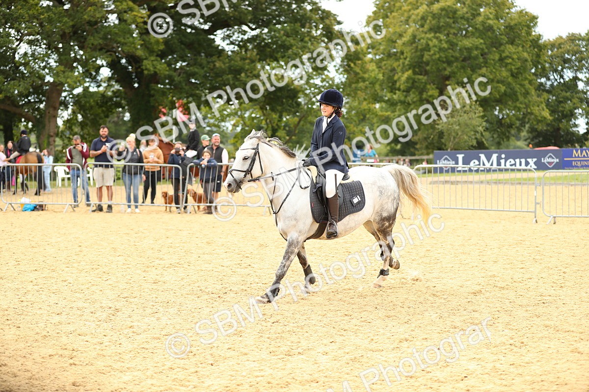SBM_71373 - J18 - Junior Pony 85cm Championship