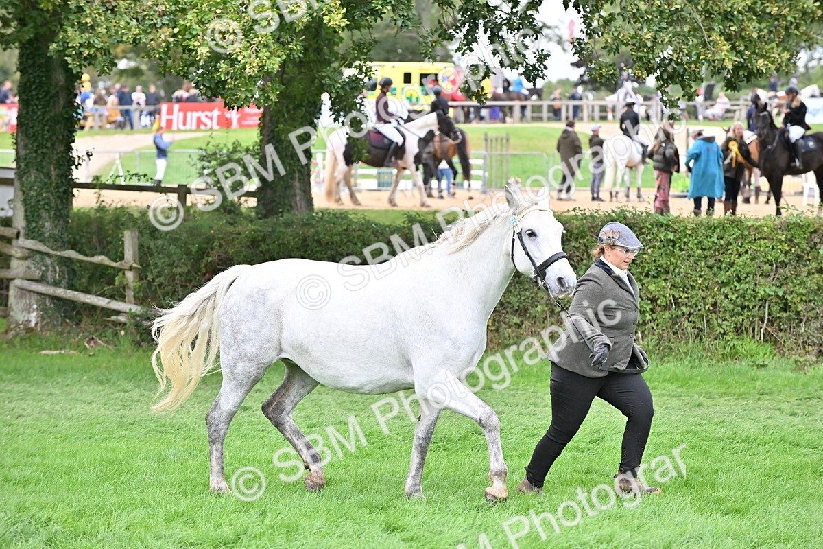 SBM_63269 - S49 - Mountain & Moorland In Hand Large Breeds