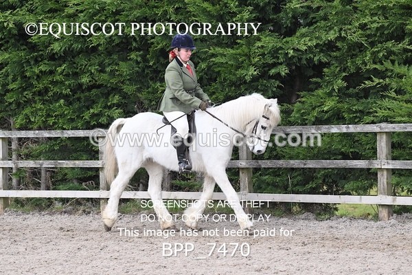 BPP_7470 - RING 1  (RIDDEN HORSES / IN HAND / VETERAN ETC)