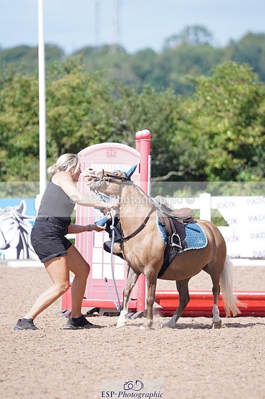 240809A-113352-00780 - Showjumping Competition