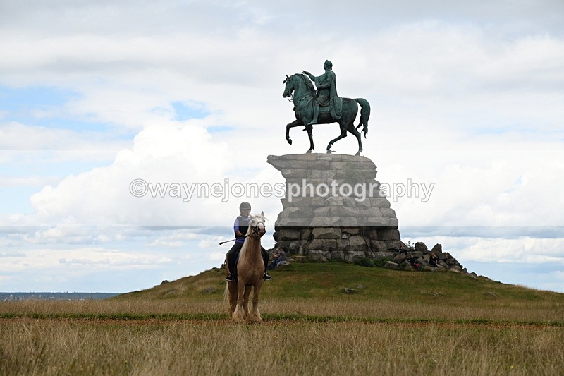 DSC_9568 - Time at Statue 15:11 to 15:58