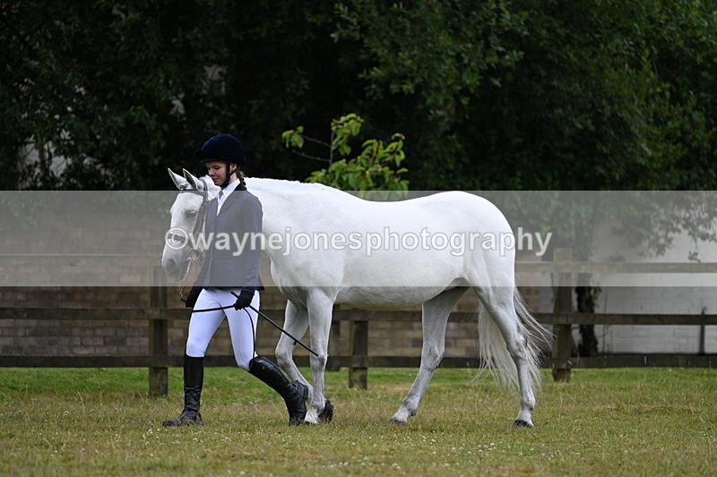 WJ7_6048 - Class 4a Prettiest Mare over 14hh