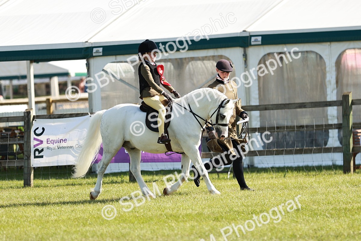 SBM_11345 - Class 106-107 - BSPS LIHS Working Sports Pony