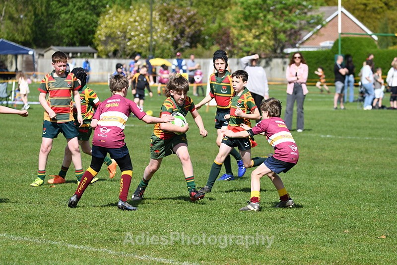  - Selby Rugby Festival 2025