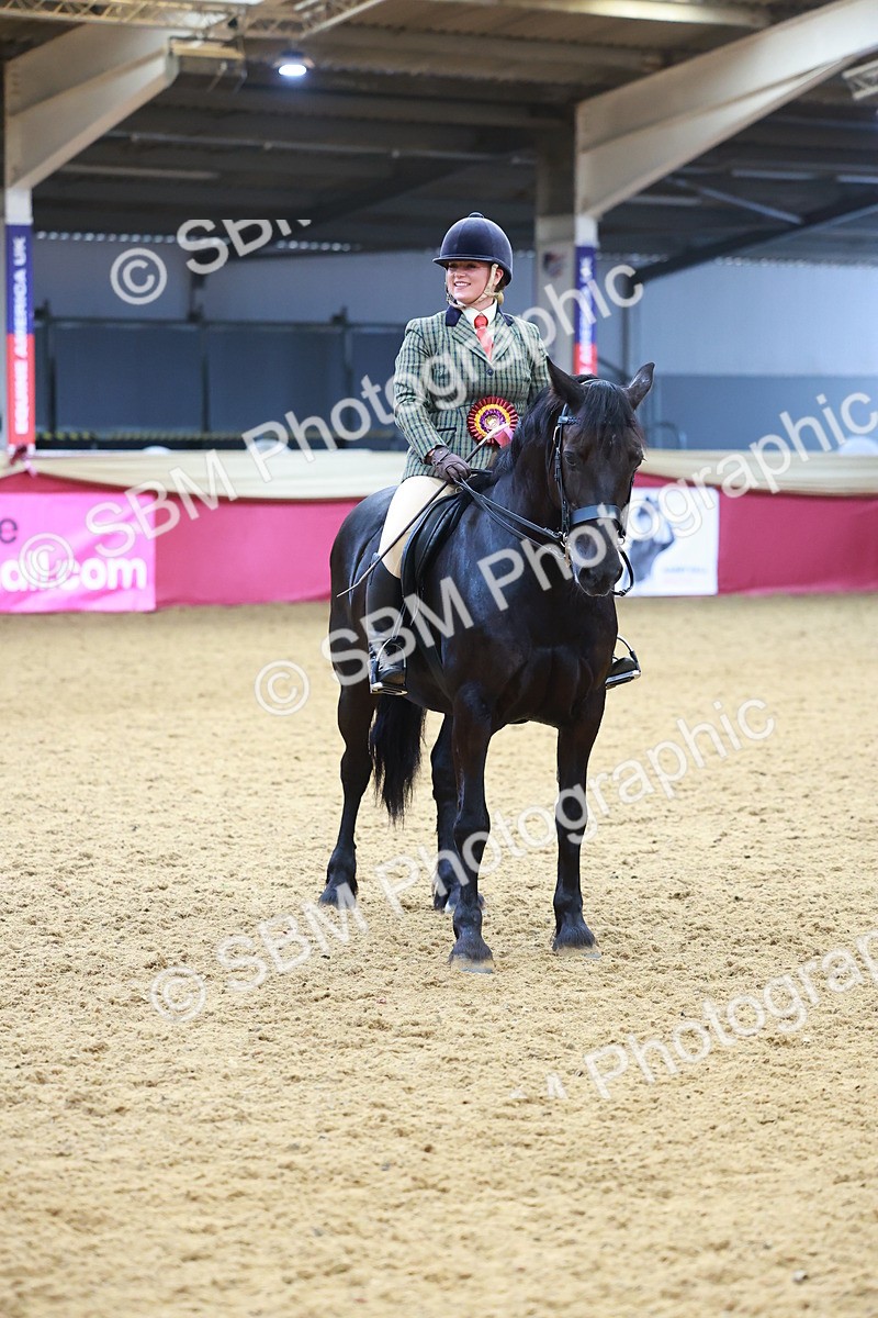 SBM_09877 - Class 102 - HOYS Veteran Qualifier - Ridden Veteran