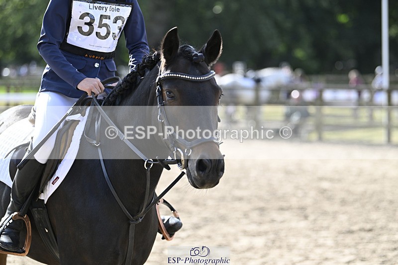 240823X-094509-14879 - 60cm R2 9.30 to 11.00