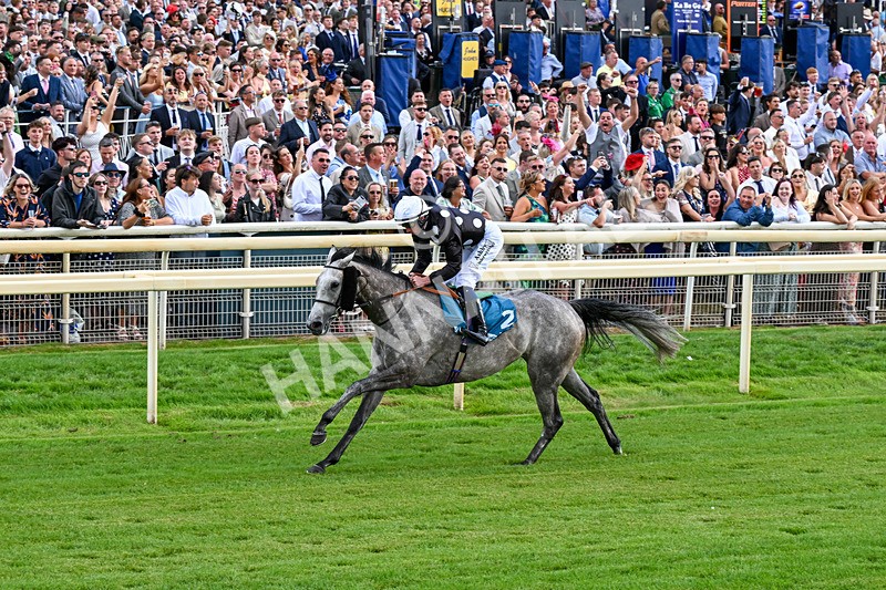 250726-Race 6-Likealot-1209 - Race 6 16.17pm Sky Bet Build A Bet Handicap