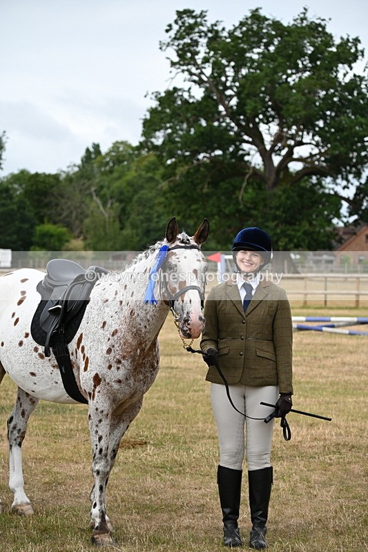 WJ6_4004 - Class 9 Tack & Turnout
