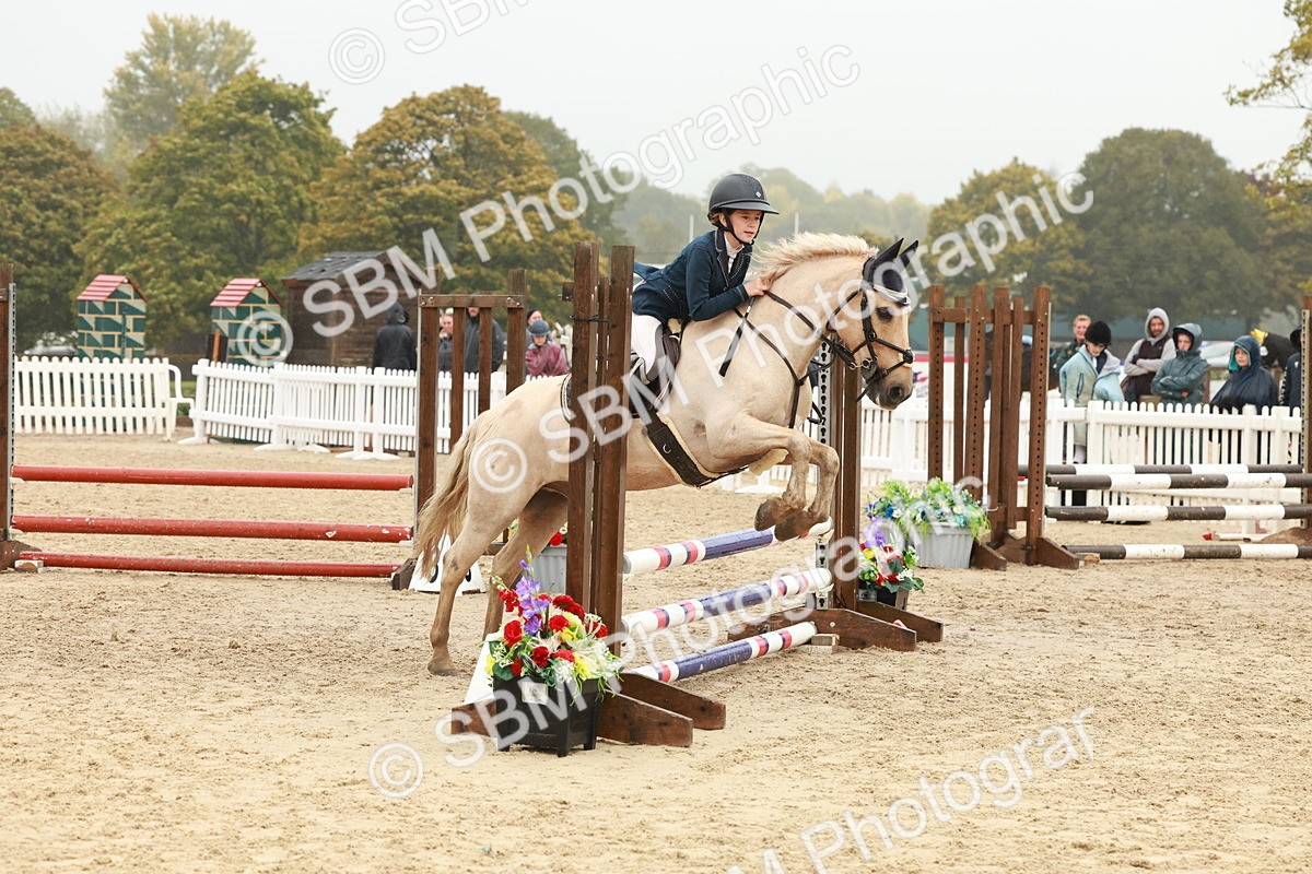 SBM_73305 - Supreme Championship Junior Pony 60cm & 65cm