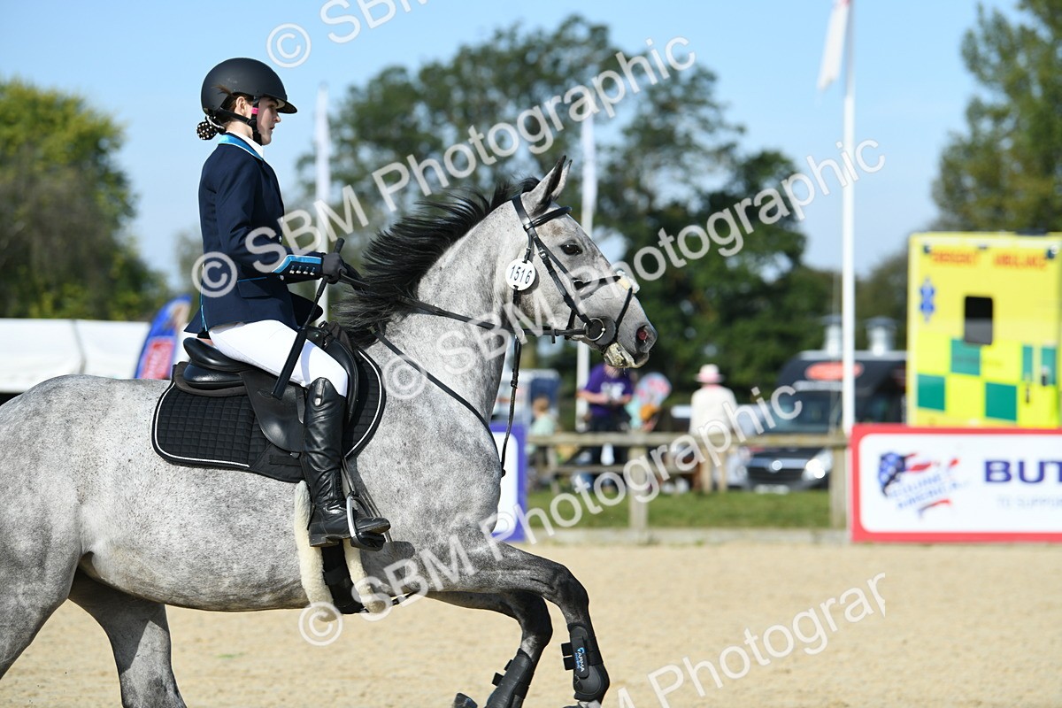 SBM_60681 - j25 - Junior Horse 80cm Championship