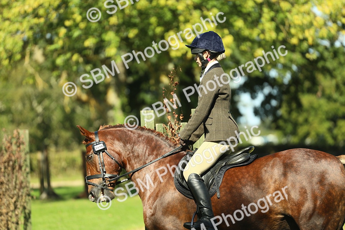 SBM_39147 - S29 - Novice & Newcomers Working Hunter Pony