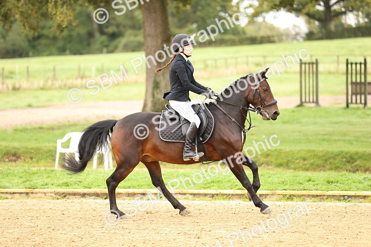 SBM_58280 - J41 - Grand Tour Horse & Pony 95cm