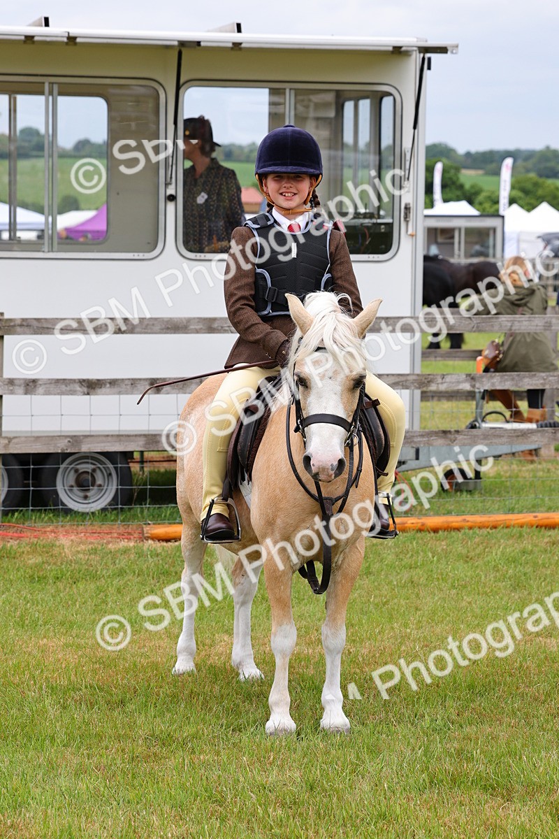 SBM_08784 - Class 42-43 - LIHS BSPS Heritage Working Sports Pony