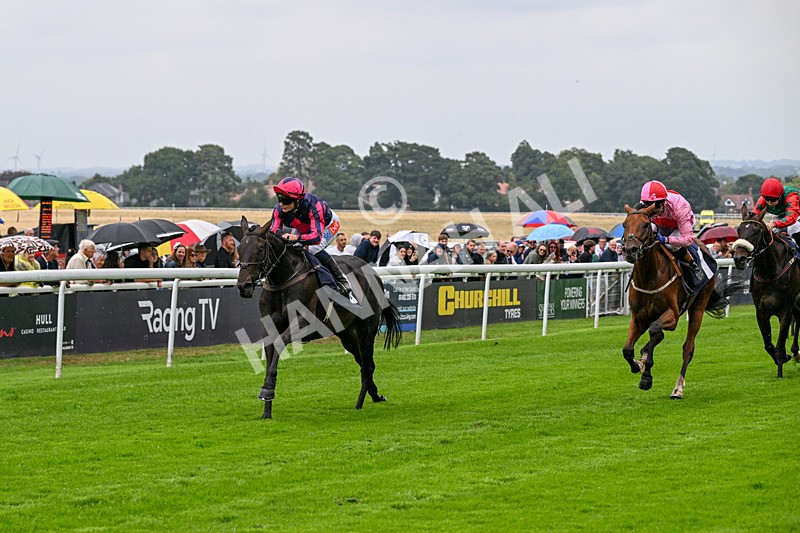 290826-Race 2-Valley Of Flowers-5957 - Race 2 2.20pm Napoleons Casino And Restaurant Hull Handicap