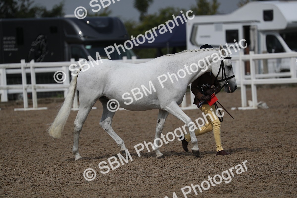 SBM_23201 - Class 605 - 2025 Area - IH Veteran