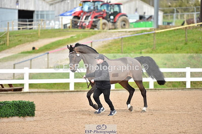 240417A-151530-00799 - 3pm to 4pm