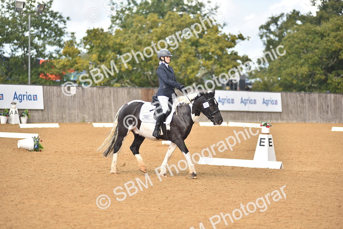 SBM_19915 - D4 - Small Tour Championship Intro 4