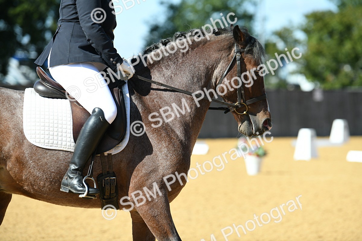 SBM_24761 - D13 - Grand Tour Championship - Prelim 12