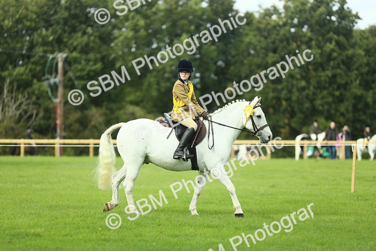 SBM_44857 - Working Hunter Pony Supreme Championship