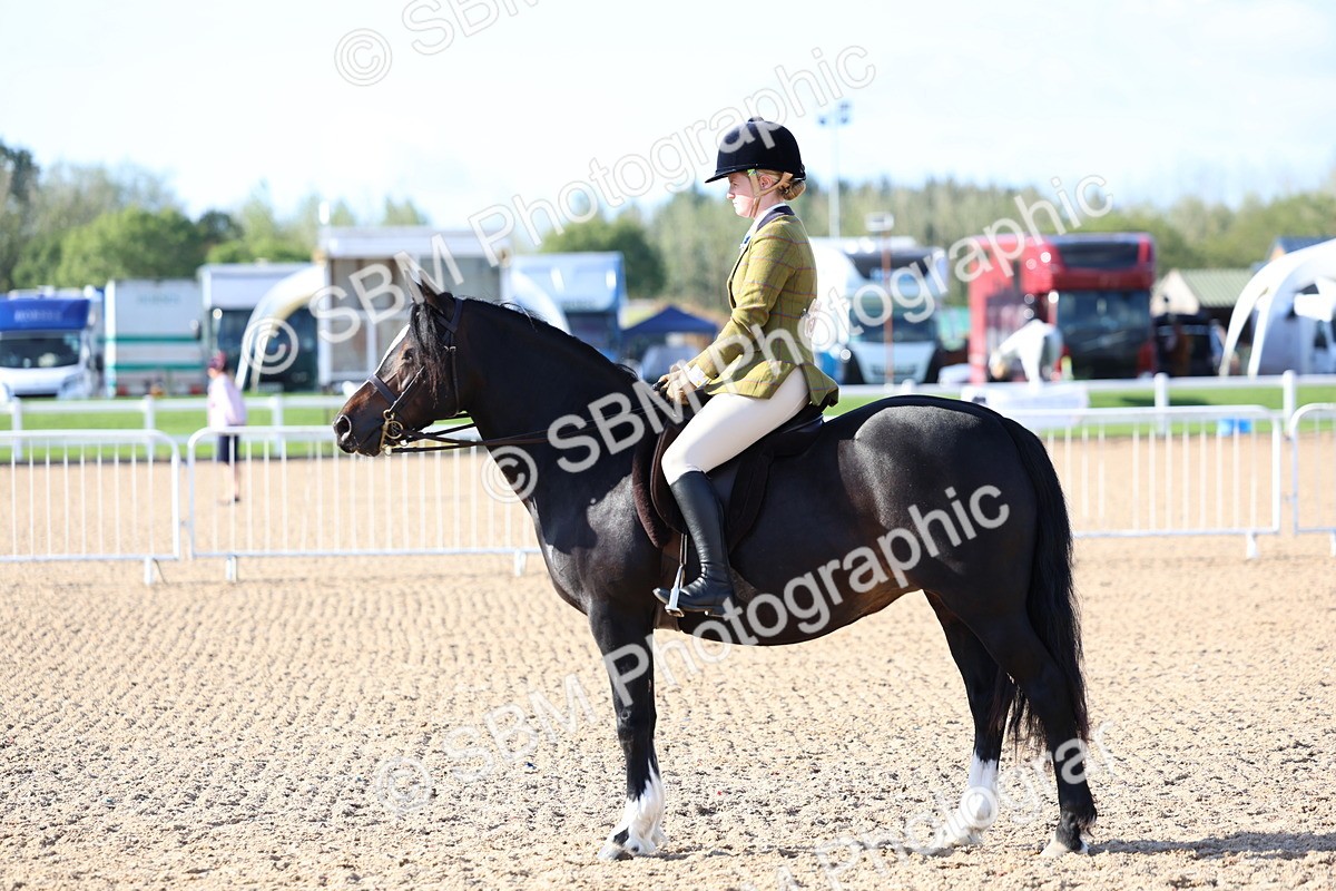 SBM_08889 - Class 302 - Ridden M&M - Large Breeds