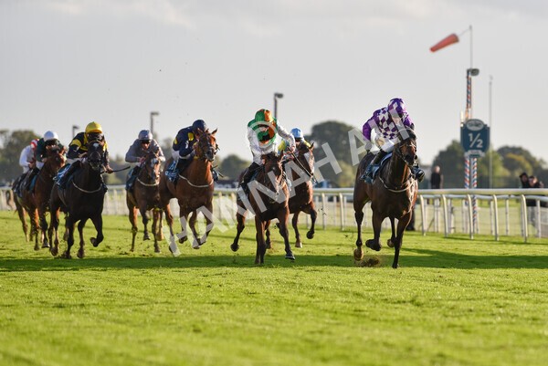 yr07102022r6-29 - Race 6 5.00pm William Hill Lengthen Your Odds EBF Novice Stakes