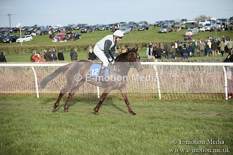 PtP 230319 520 - VWH Hunt Siddington Point-to-Point Racing 23/03/19
