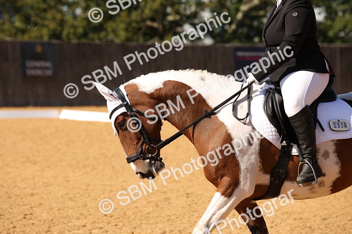 SBM_24203 - D5 - Small Tour Championship - Intro C