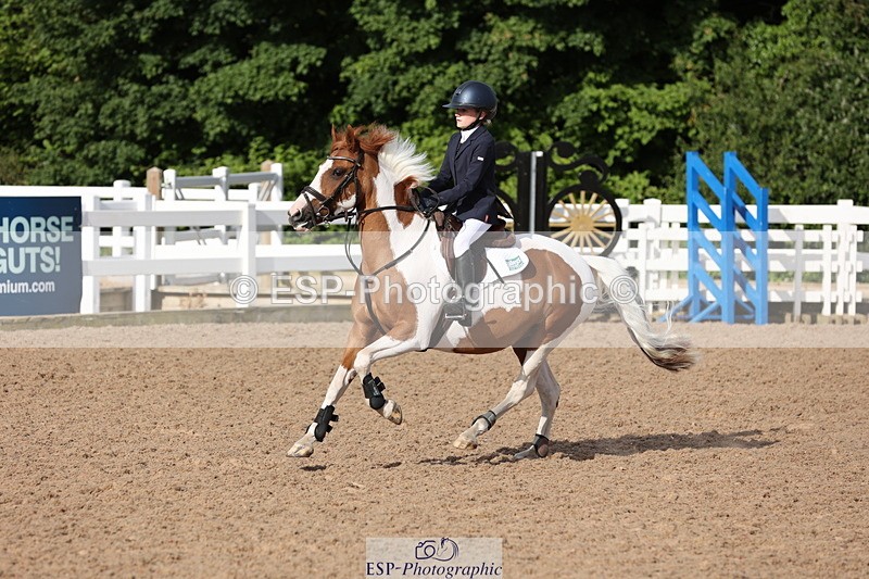 240629A-082659-02550 - Cls 16 British Novice and 80cm Open