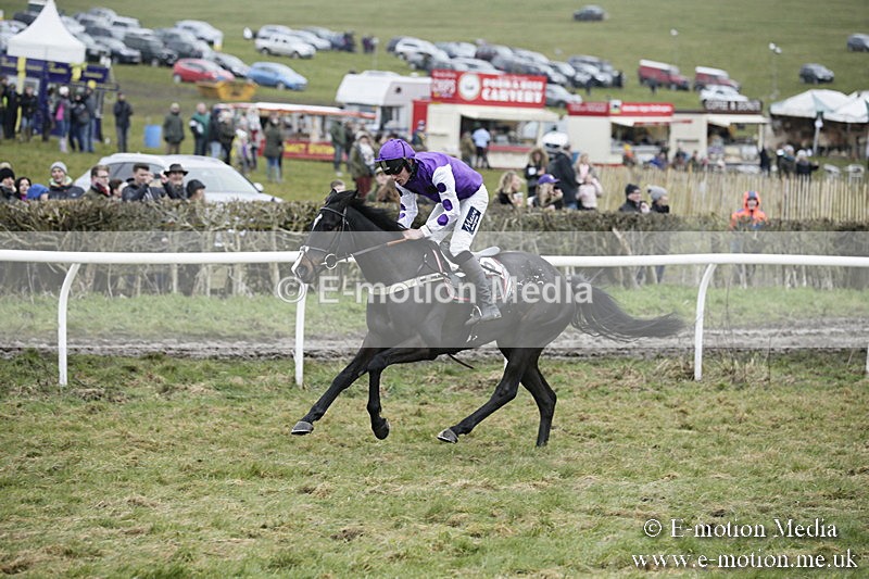 PtP 020418 -487 - Old Berks Point-to-Point Races Easter Monday 02/04/18