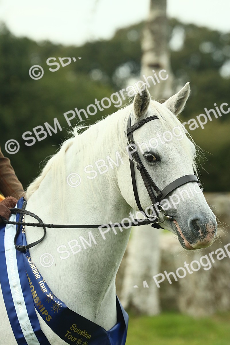 SBM_75206 - Super Supreme Championship