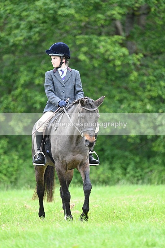WJ7_4397 - Class 14B Prettiest Mare