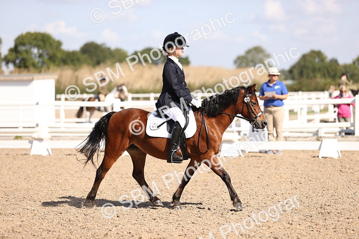 SBM_03503 - CLass 35 Intro 3