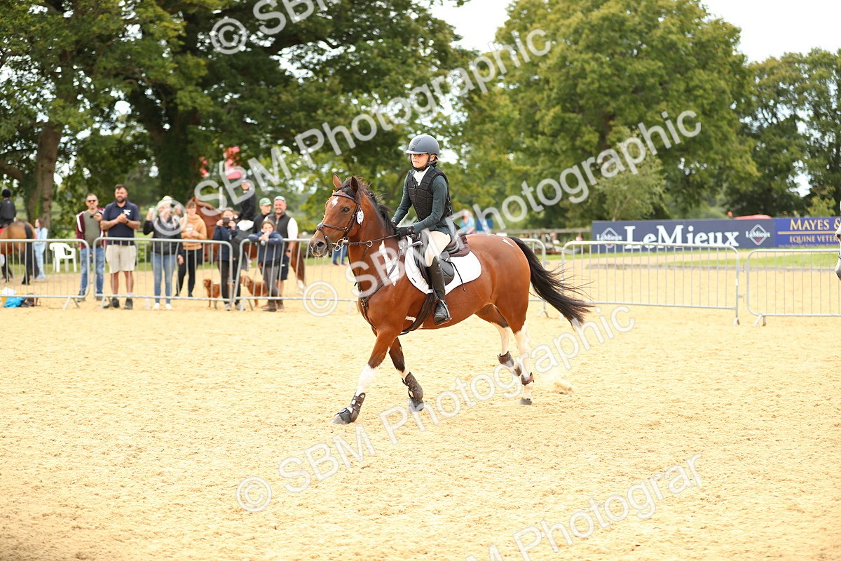 SBM_71379 - J18 - Junior Pony 85cm Championship